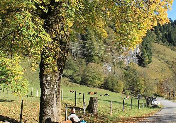 herbststimmung_in_dorfgastein