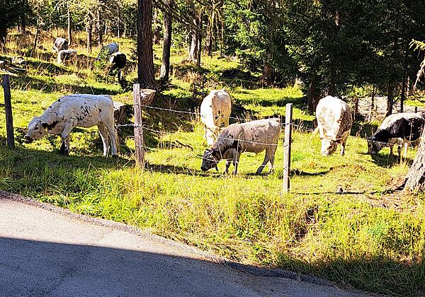Ausblick von der Veranda