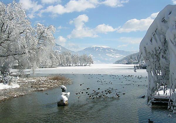 Winter am See