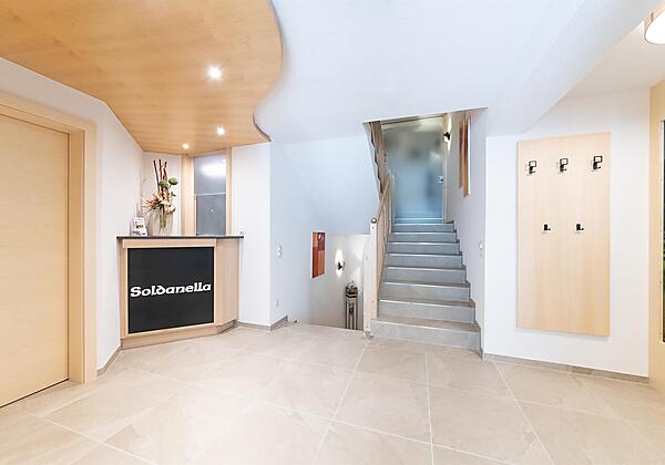 2102-1_004_wf-soldanella_09-21