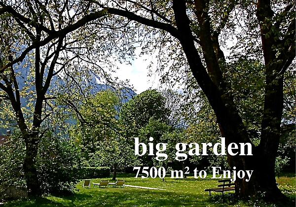 booking big garden - 1 (1)