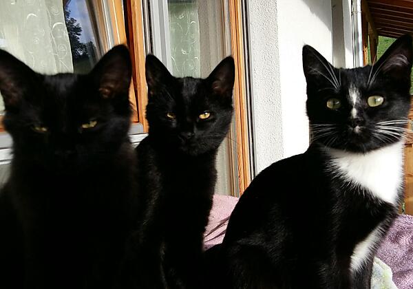 20181001_085839_resized