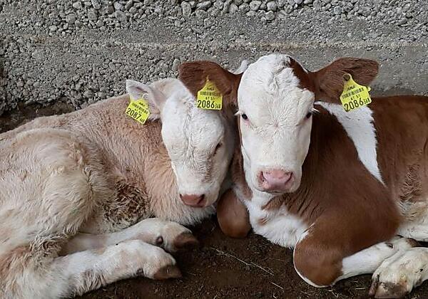 IMG-20190427-WA0002_resized