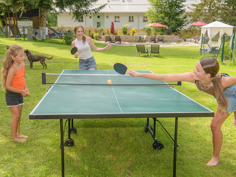 Tischtennis1,2MBjpg.jpg
