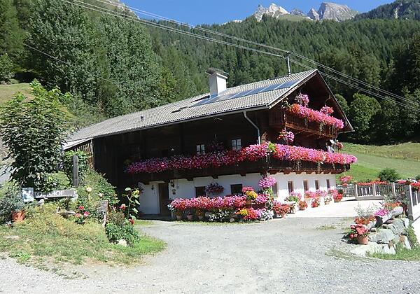 Blick von der Einfahrt