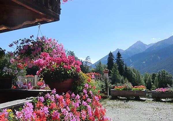 Wunderschöne Aussicht