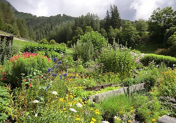 Zu einem Bauernhaus gehört auch ein Bauerngarten