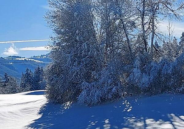 Winterlandschaft