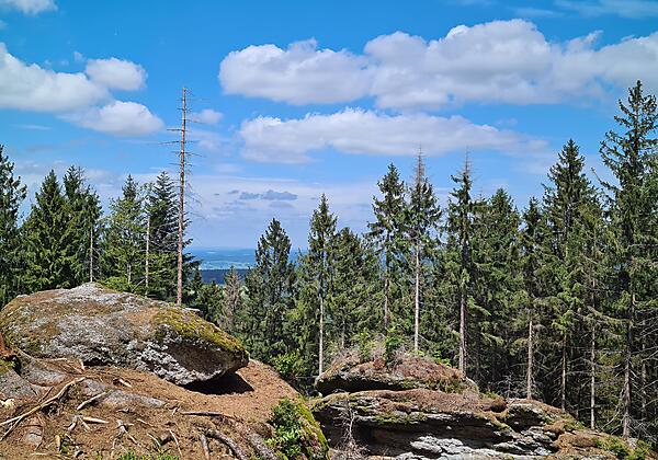 Aussicht vom Abstieg Ochsenkopf