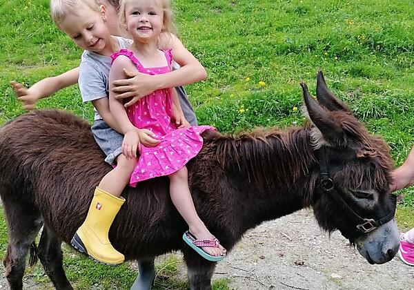 voltahof-esel-kinder-reiten