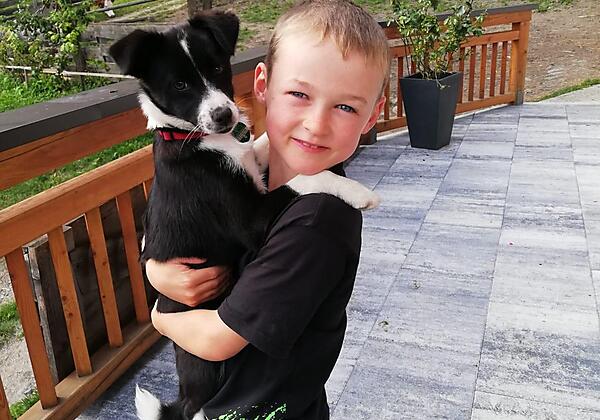 voltahof-familie-weiskopf-hund-kind