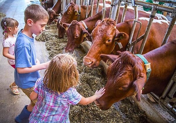 kinder-stall-bauernhof-