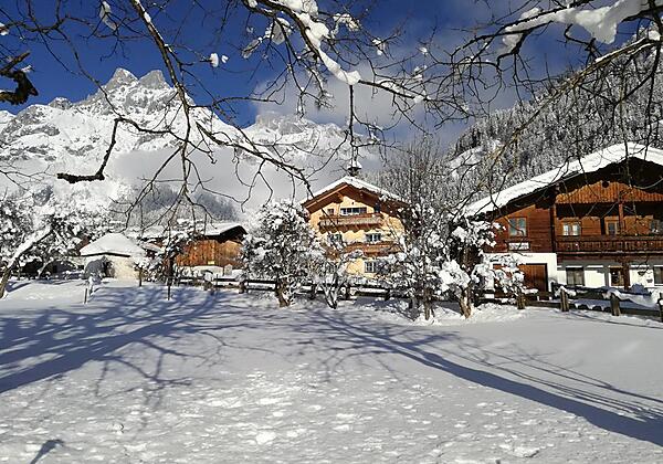 IMG_20170110_142437_1