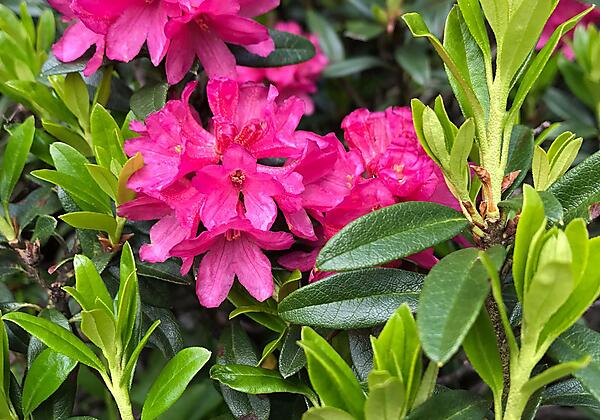 cf79dee6-08c0-4442-9f95-c3e1eee5794f