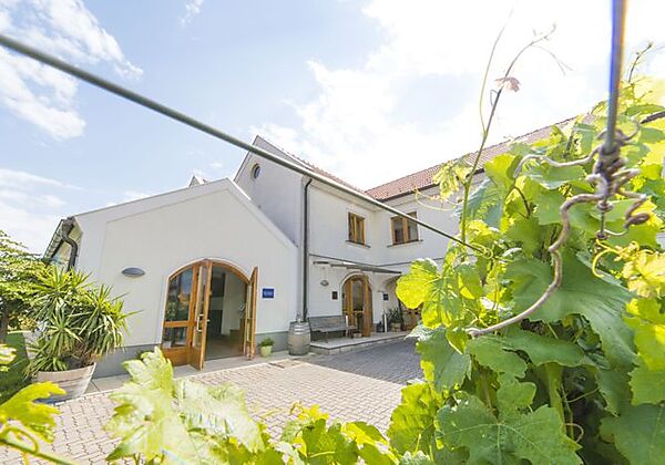 Weingut & Pension zum Seeblick Familie Sattler