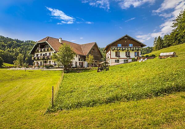 20170827_BambichlgutAussen_033_klein