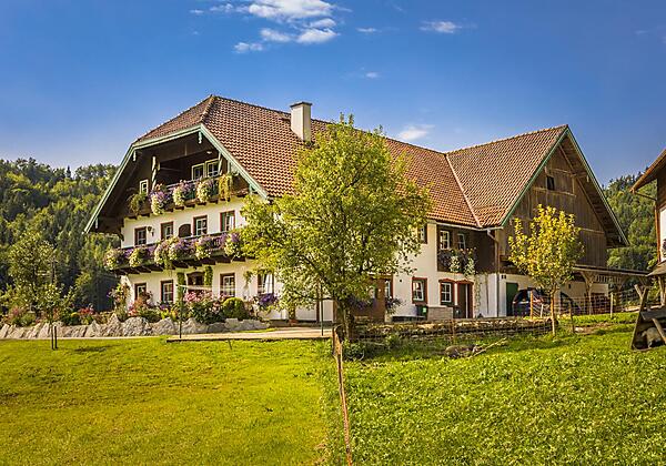 20170827_BambichlgutAussen_036_klein