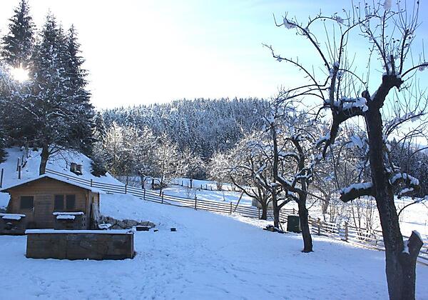 Blick auf den Garten Süd