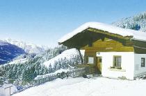 Ferienhaus in Hollersbach