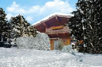 Ferienhaus in Krimml