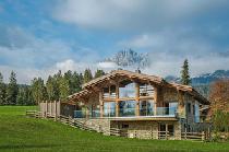 Ferienhaus in Going am Wilden Kaiser