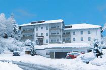 Ferienwohnung in der Residenz Schauinsland in Todtnauberg