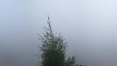 Blick von der Spungschanze (736 m)