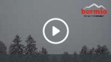 Blick von Oga auf Bormio (1.530 m)