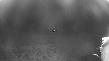 Blick vom Talons Restaurant auf die Piste